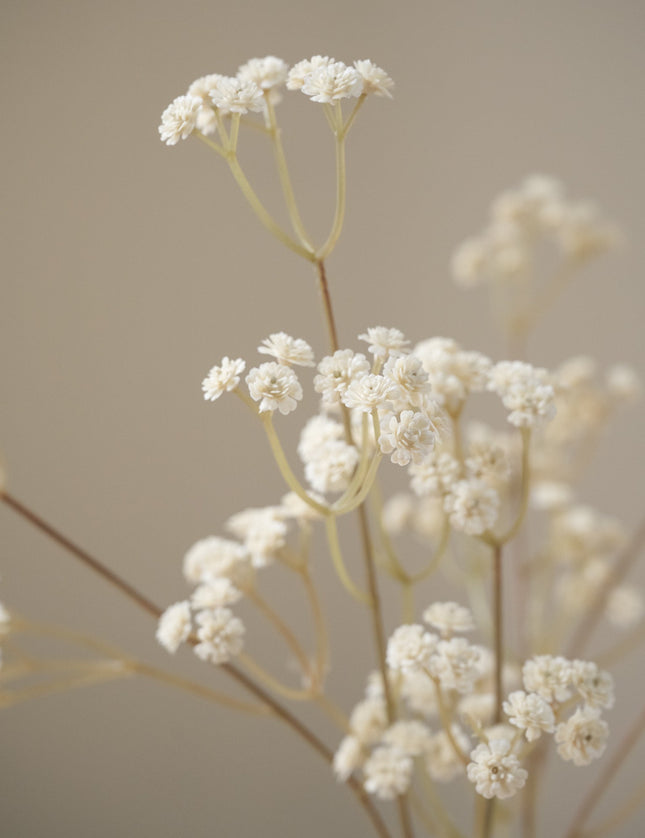 Faux Flower Baby Breath Brown/White - Things I Like Things I Love