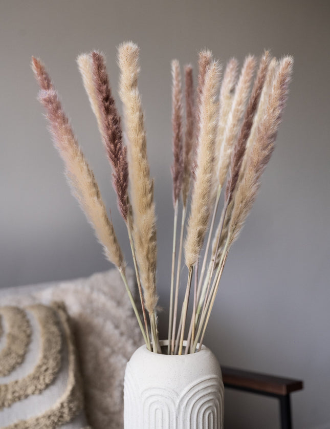 12 PCS - Dried Flowers Pink Fluffy Pampas - Things I Like Things I Love