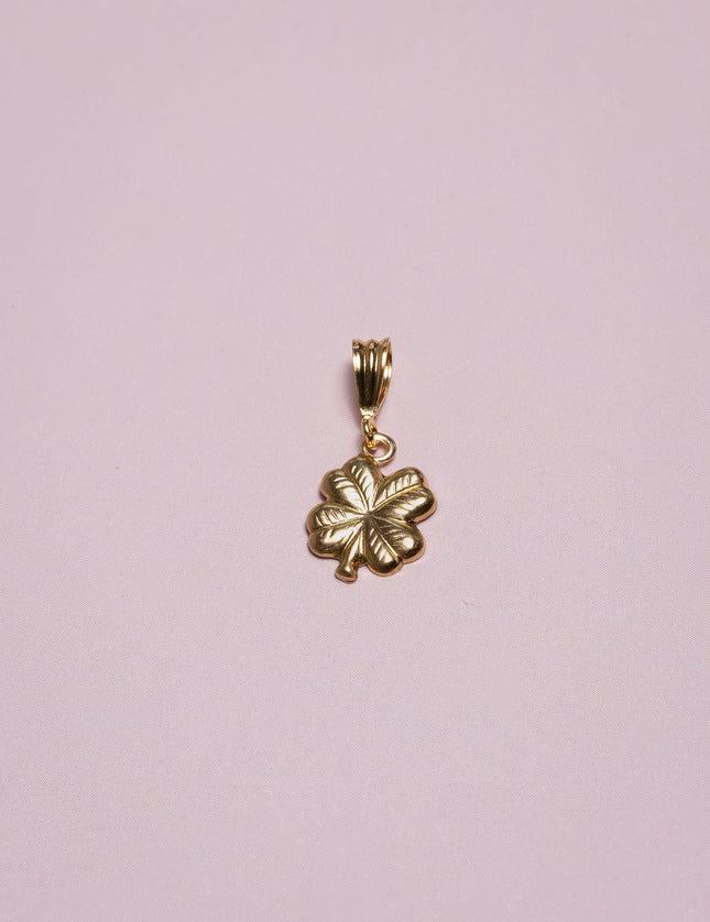 Goldfilled Necklace Charm Lucky - Things I Like Things I Love
