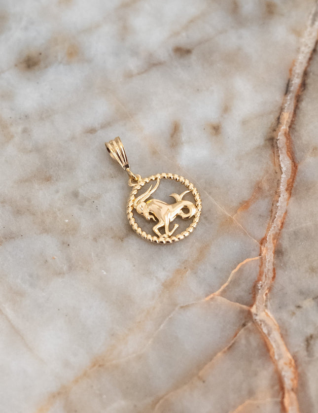 Goldfilled Necklace Charm Zodiac - Things I Like Things I Love