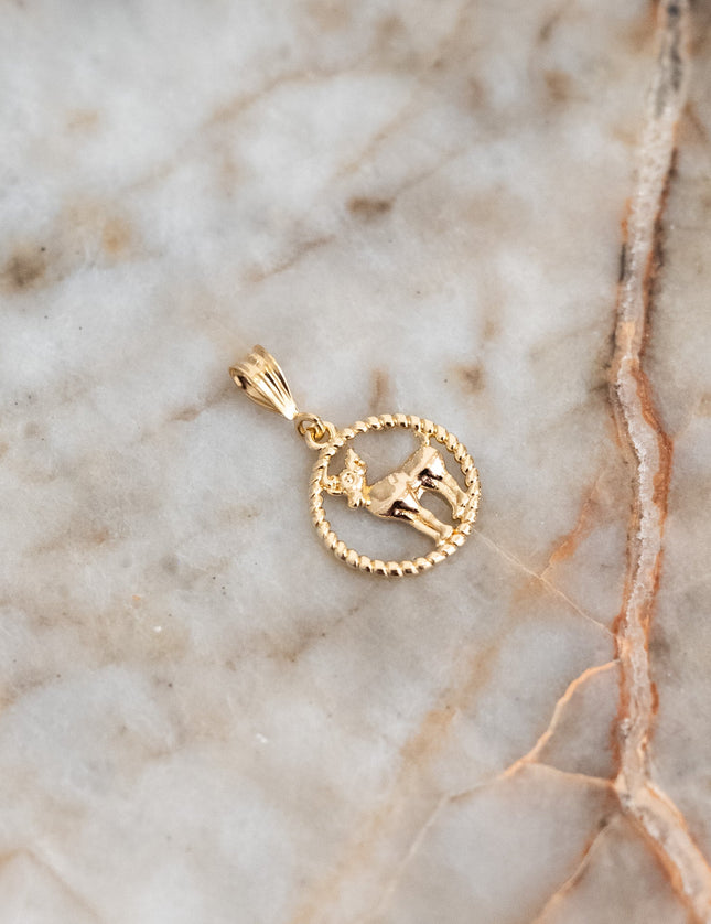 Goldfilled Necklace Charm Zodiac - Things I Like Things I Love