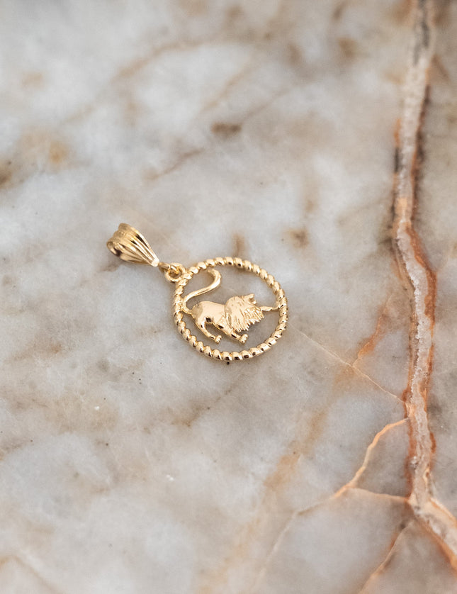 Goldfilled Necklace Charm Zodiac - Things I Like Things I Love