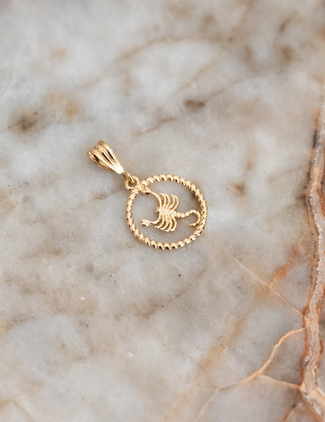 Goldfilled Necklace Charm Zodiac - Things I Like Things I Love